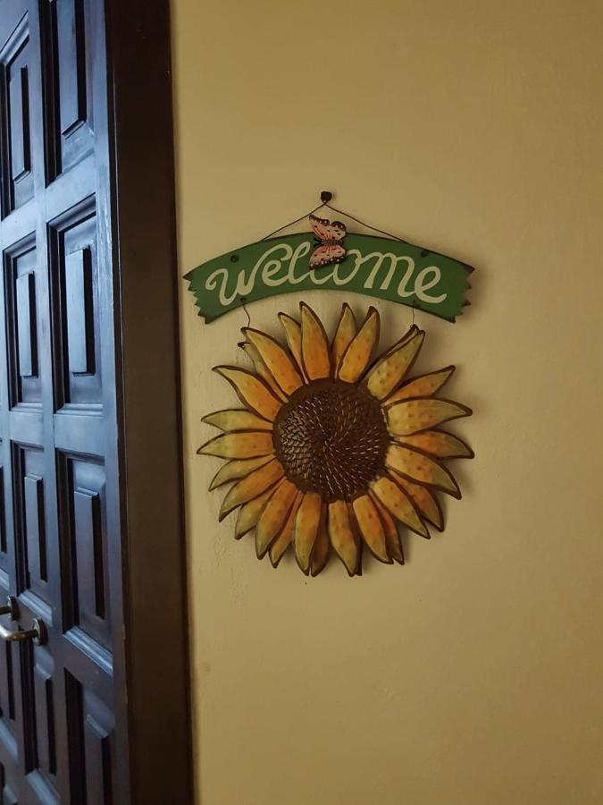 Il Girasole Storico Apartamento Pitigliano Exterior foto