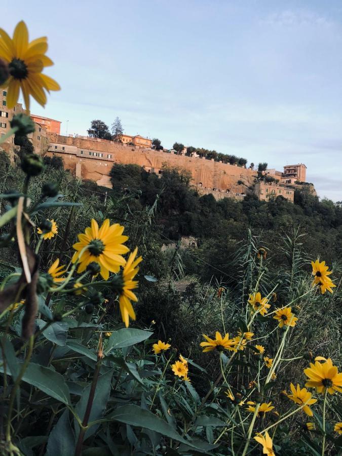 Il Girasole Storico Apartamento Pitigliano Exterior foto